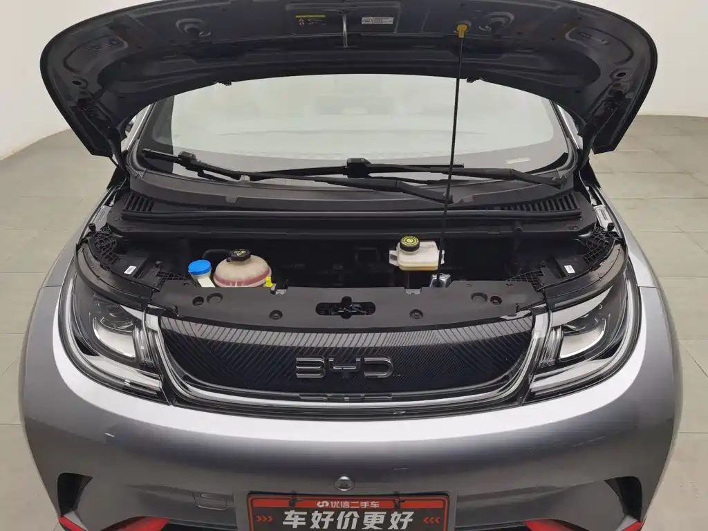 BYD Dolphin — миниатюра 6