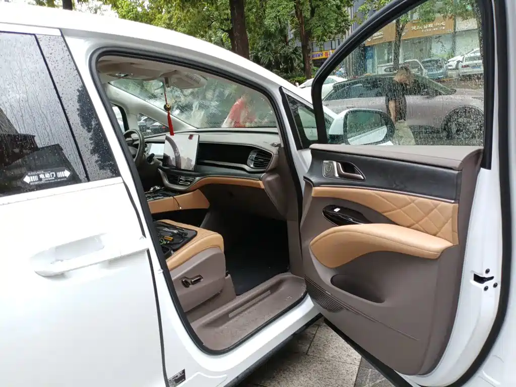 Denza Denza D9 — миниатюра 20