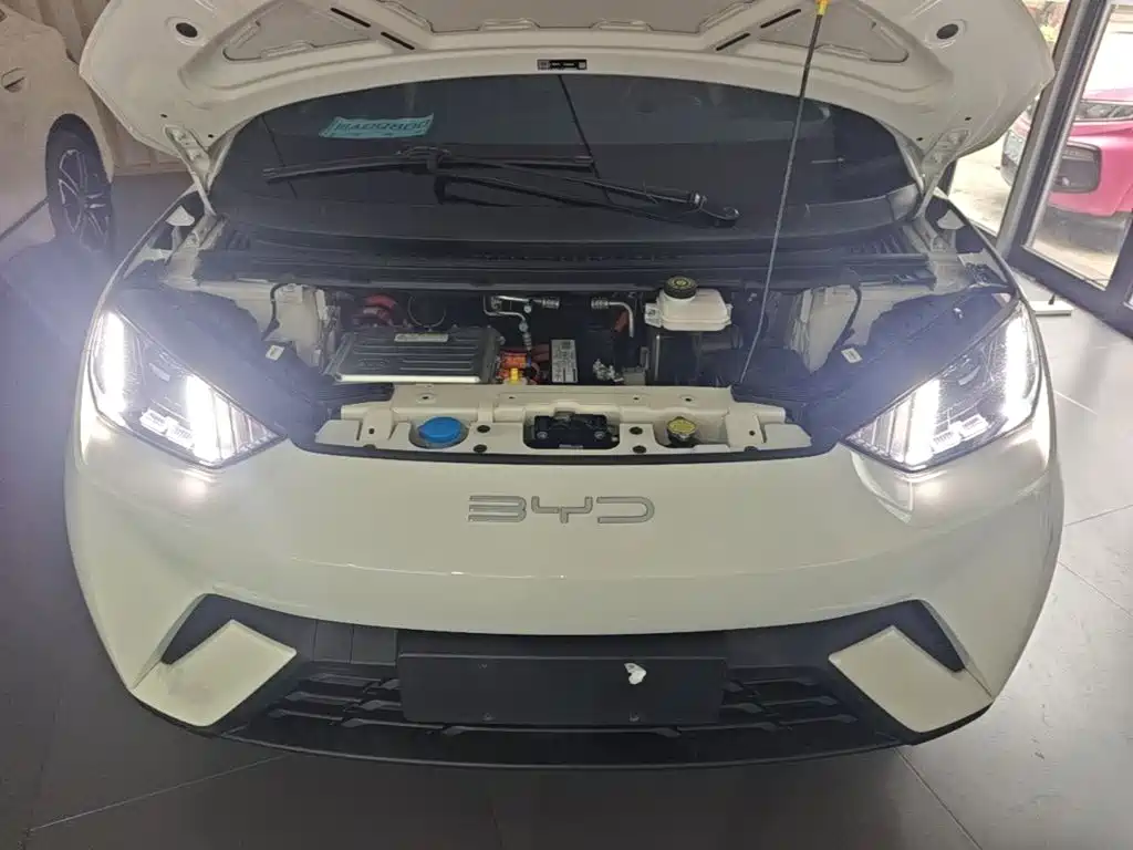 BYD Seagull — миниатюра 20