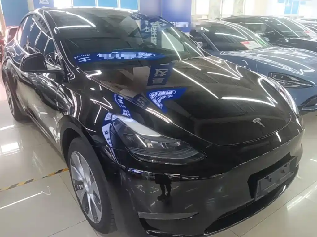 Tesla Model Y — миниатюра 4