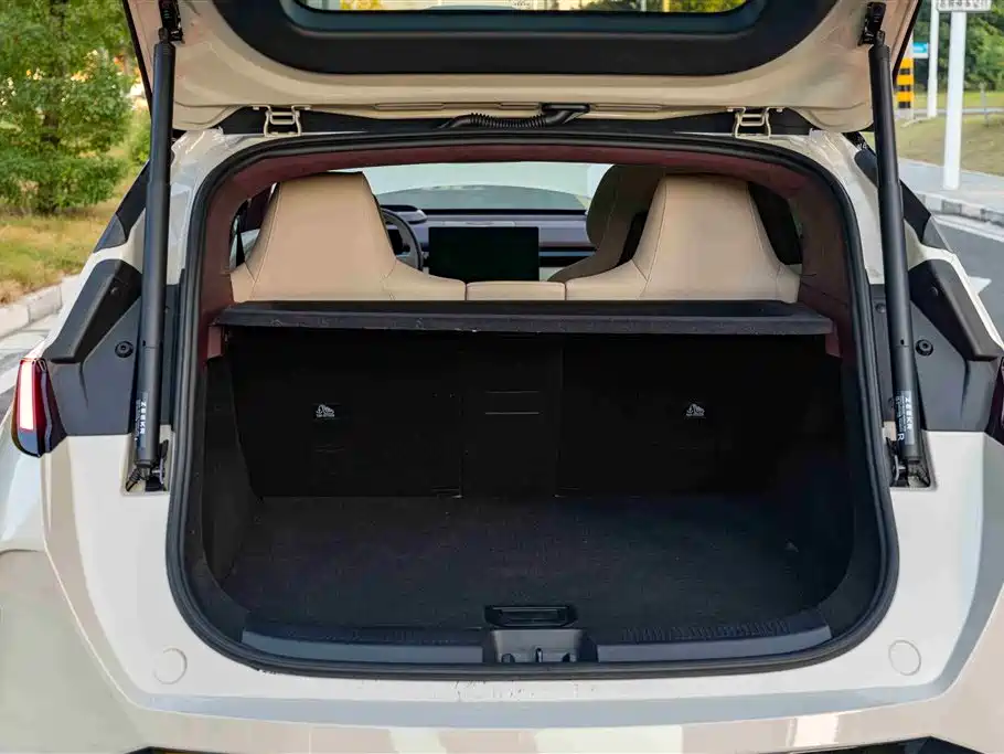 ZEEKR EXTREME KRYPTON X