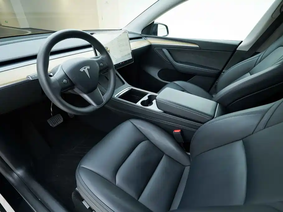 Tesla Model Y — миниатюра 8