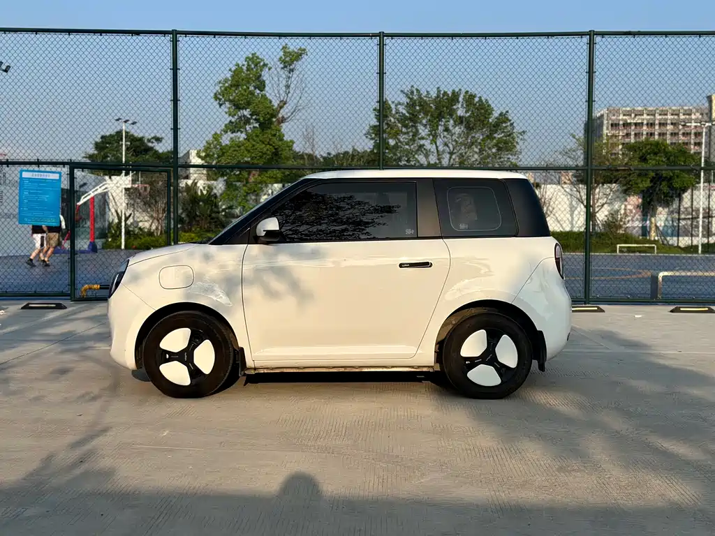 Qiyuan Lumin — миниатюра 5