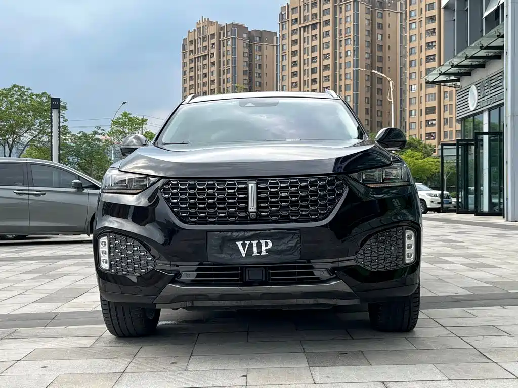 Wey Wey VV6 — миниатюра 2