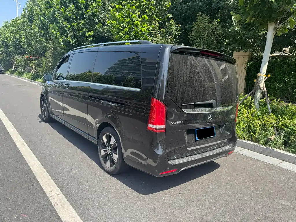 Mercedes-Benz V-Class V 2020 V 260 L Luxury