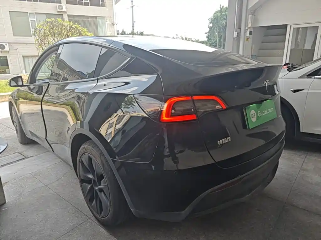 Tesla Model Y — миниатюра 5
