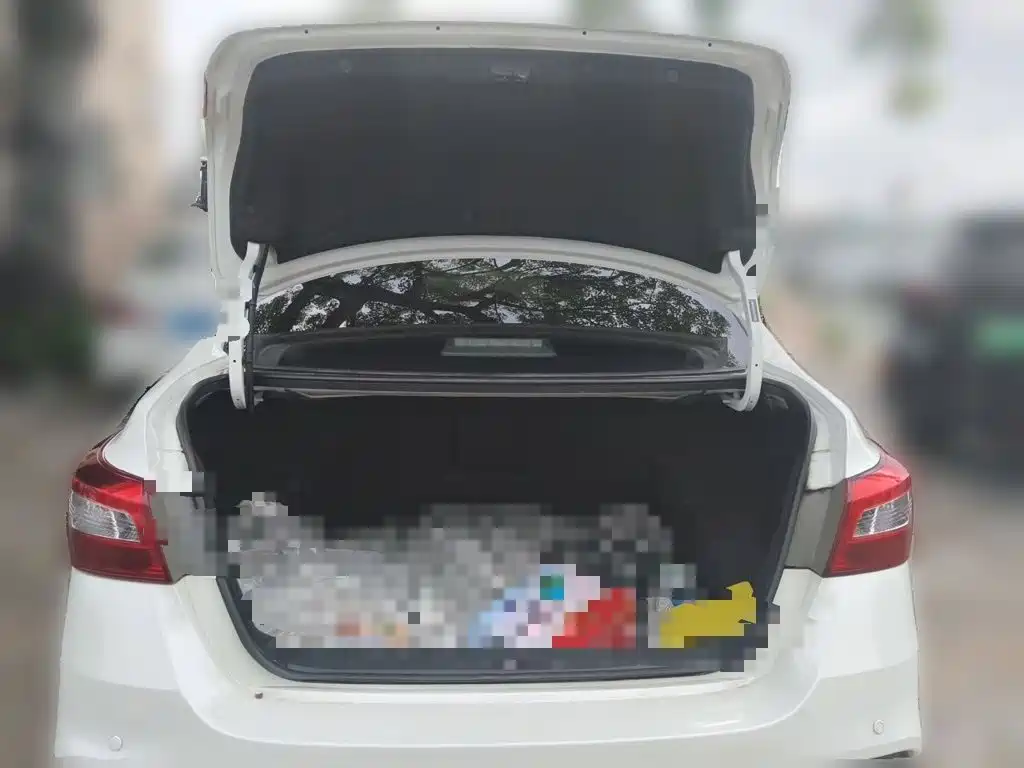 Nissan Sylphy — миниатюра 20