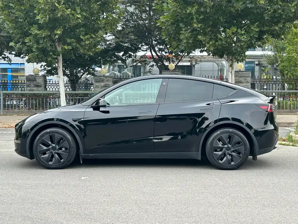 Tesla Model Y — миниатюра 15