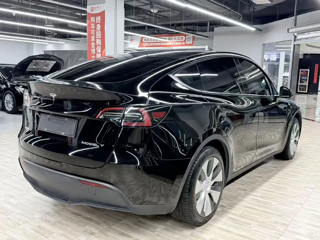 Tesla Model Y — миниатюра 4