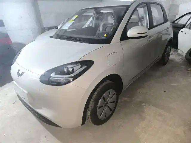 WULING AUTOMOBILE WULING BINGGUO 2025
