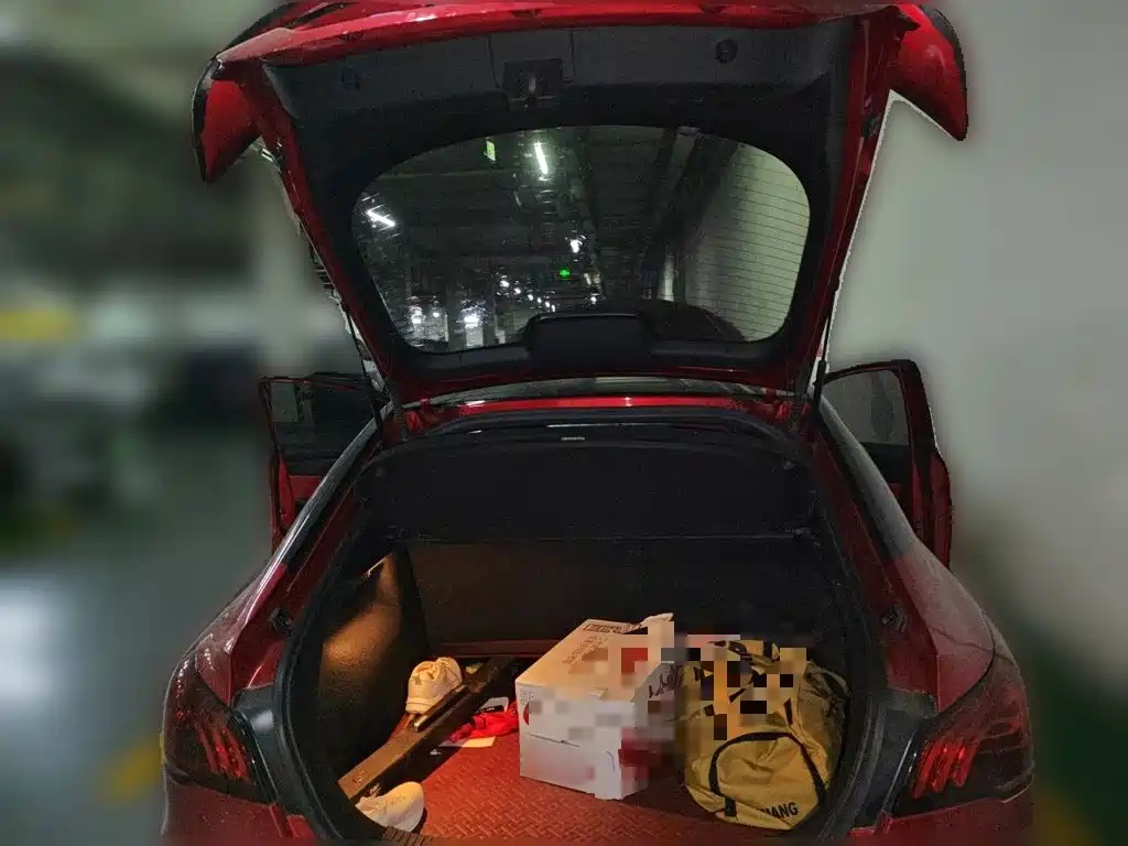 MG MG6 — миниатюра 20