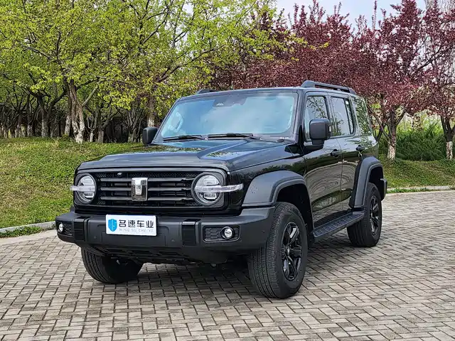2025 TANK 300