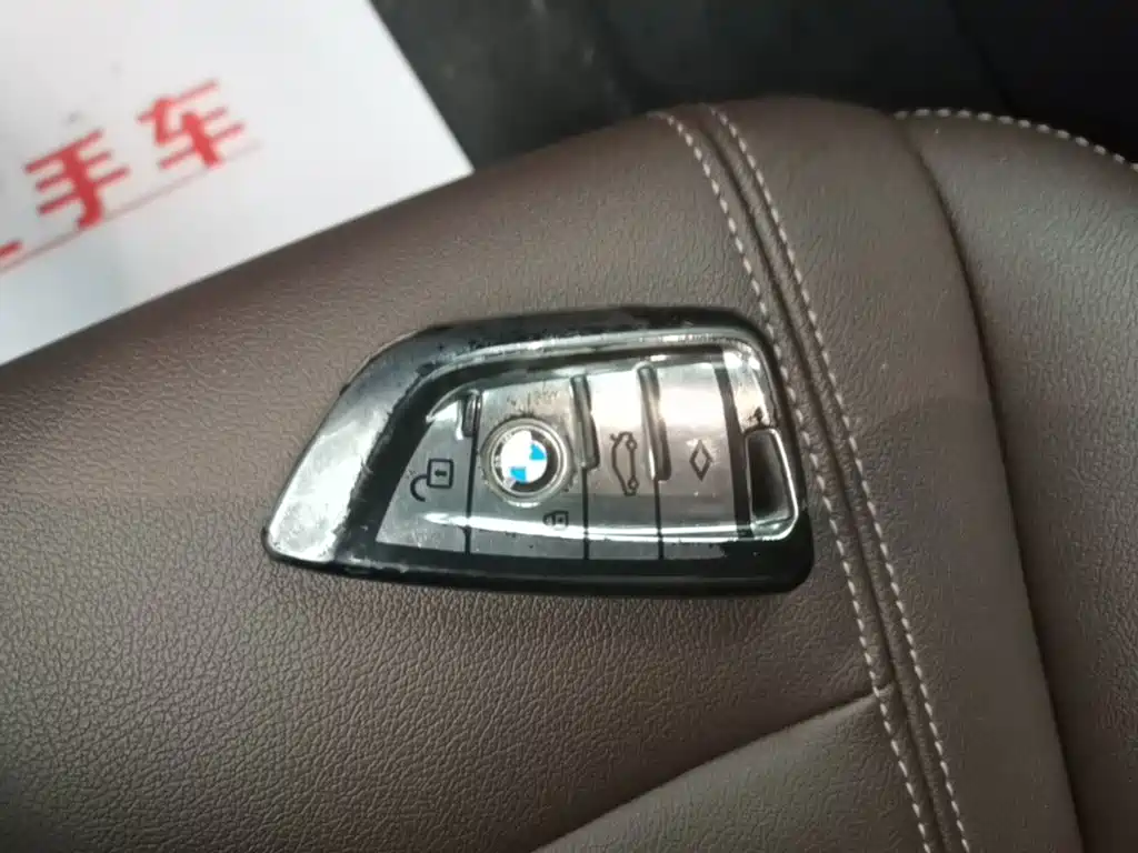 BMW 5 Series 5 2020 525Li M Sport
