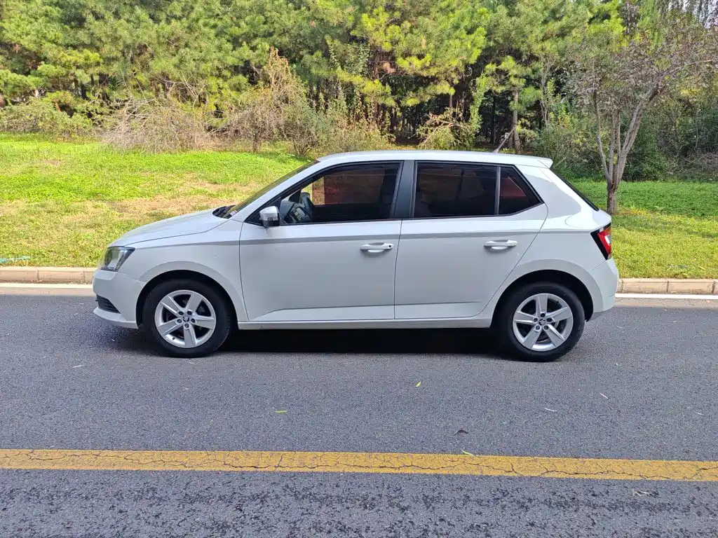 Skoda Fabia — миниатюра 10