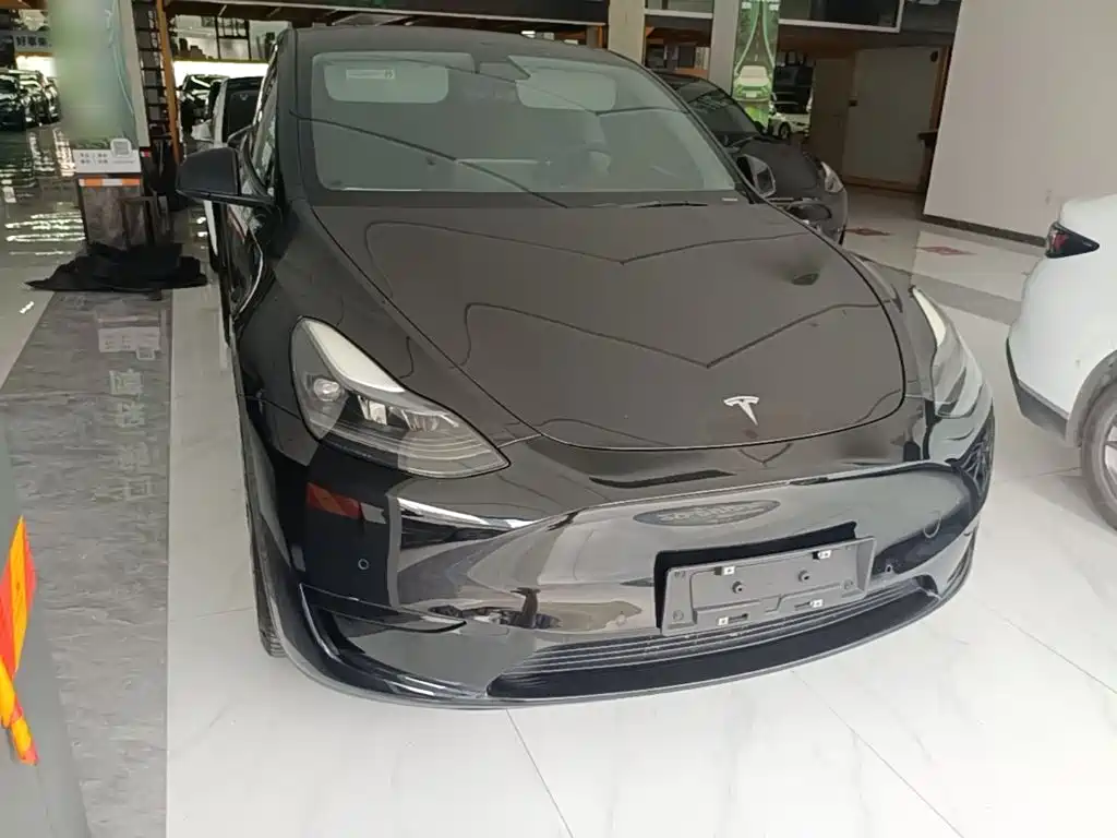 Tesla Model Y — миниатюра 4