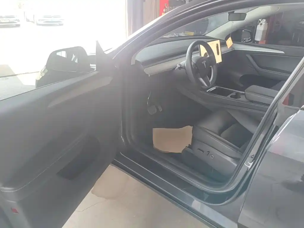 Tesla Model Y — миниатюра 16