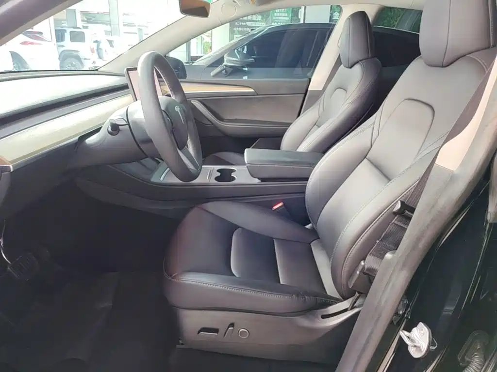 Tesla Model Y — миниатюра 15