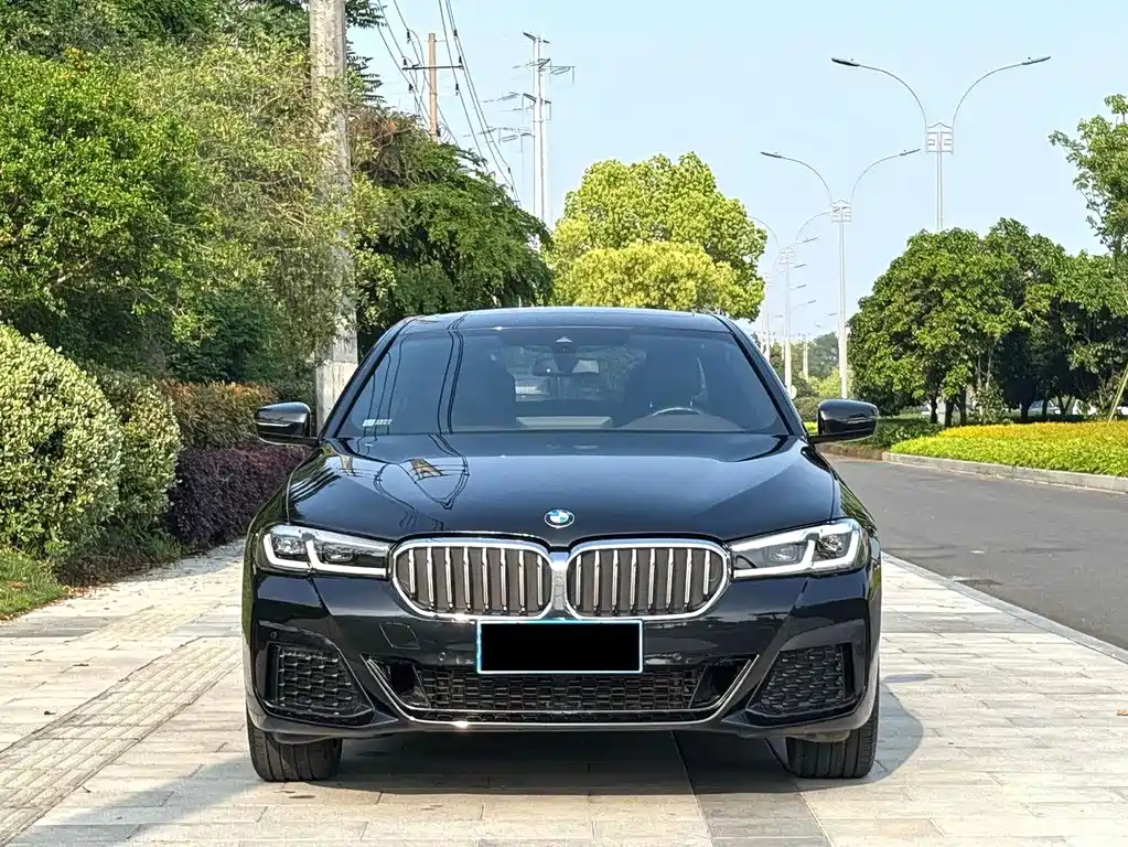 BMW 5 Series — миниатюра 2