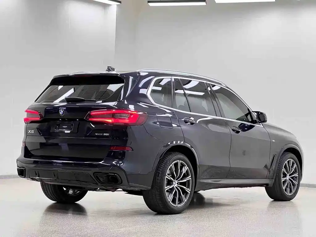 BMW X5 (Import) — миниатюра 30