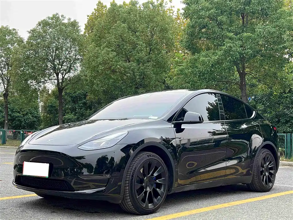 Tesla Model Y — миниатюра 7