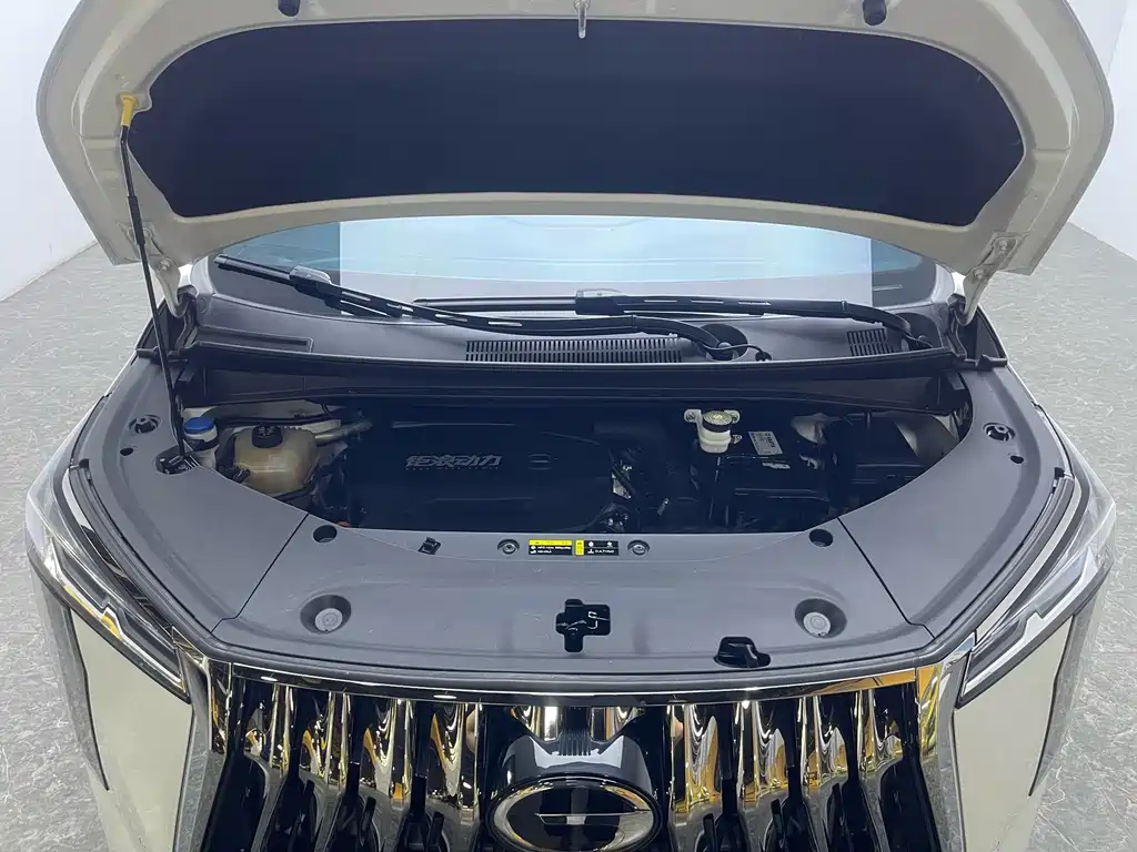 GAC Motor Trumpchi M8 — миниатюра 19