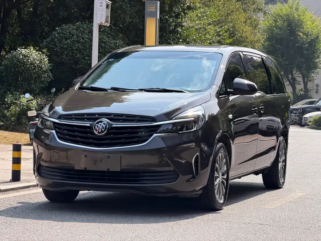 Buick GL8 — миниатюра 4