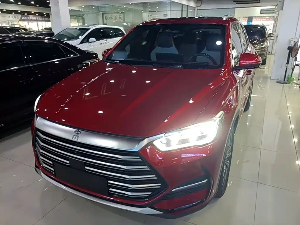 BYD Pro New Energy — миниатюра 2