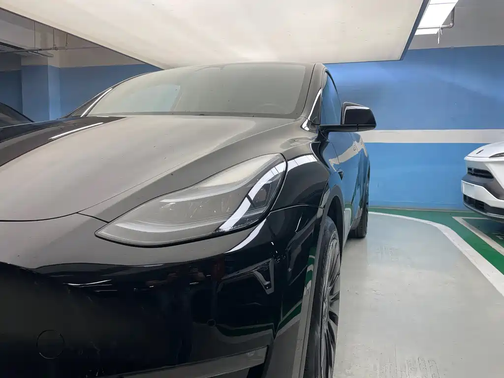 Tesla Model Y — миниатюра 4