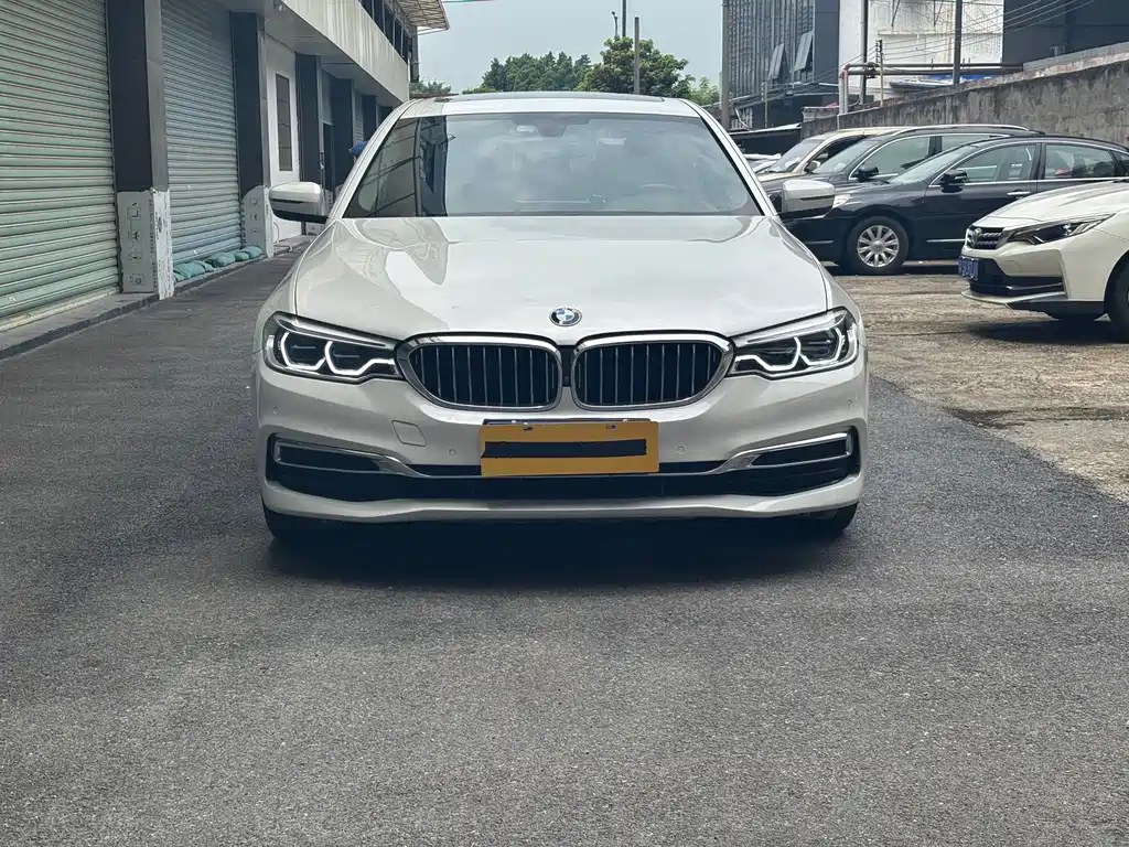 BMW 5 Series 5 2020 530Li Lead Luxury