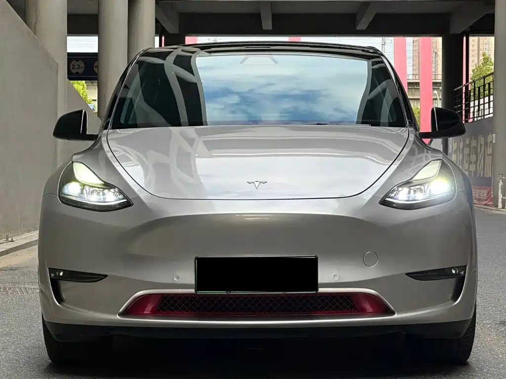 Tesla Model Y — миниатюра 2