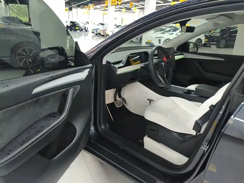 Tesla Model Y — миниатюра 16