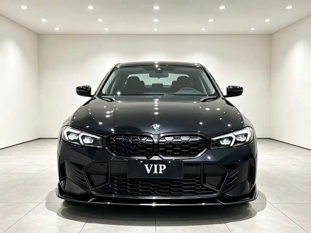 BMW 3 Series — миниатюра 2