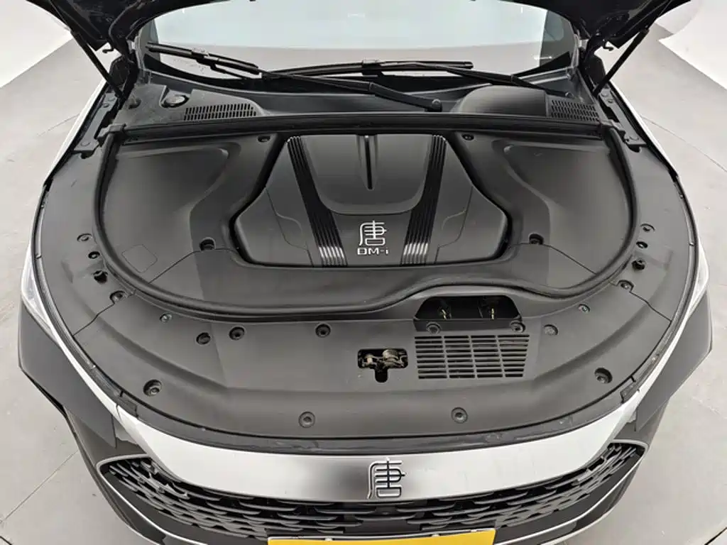 BYD Tang New Energy — миниатюра 12