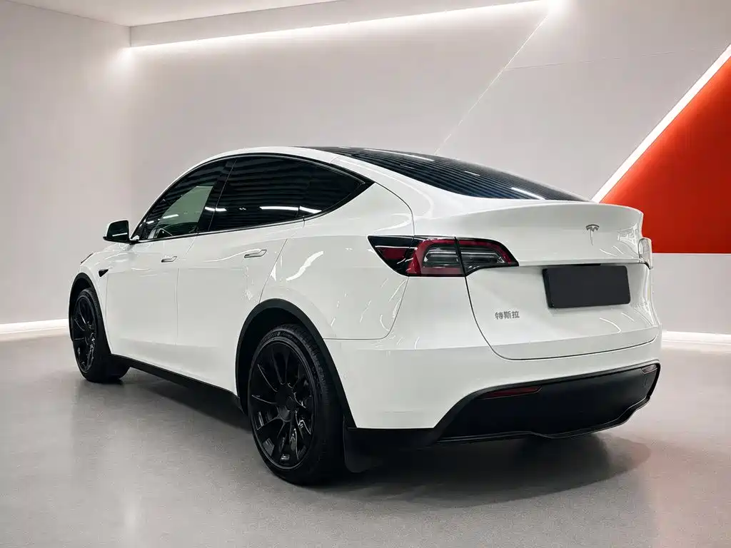 Tesla Model Y — миниатюра 6