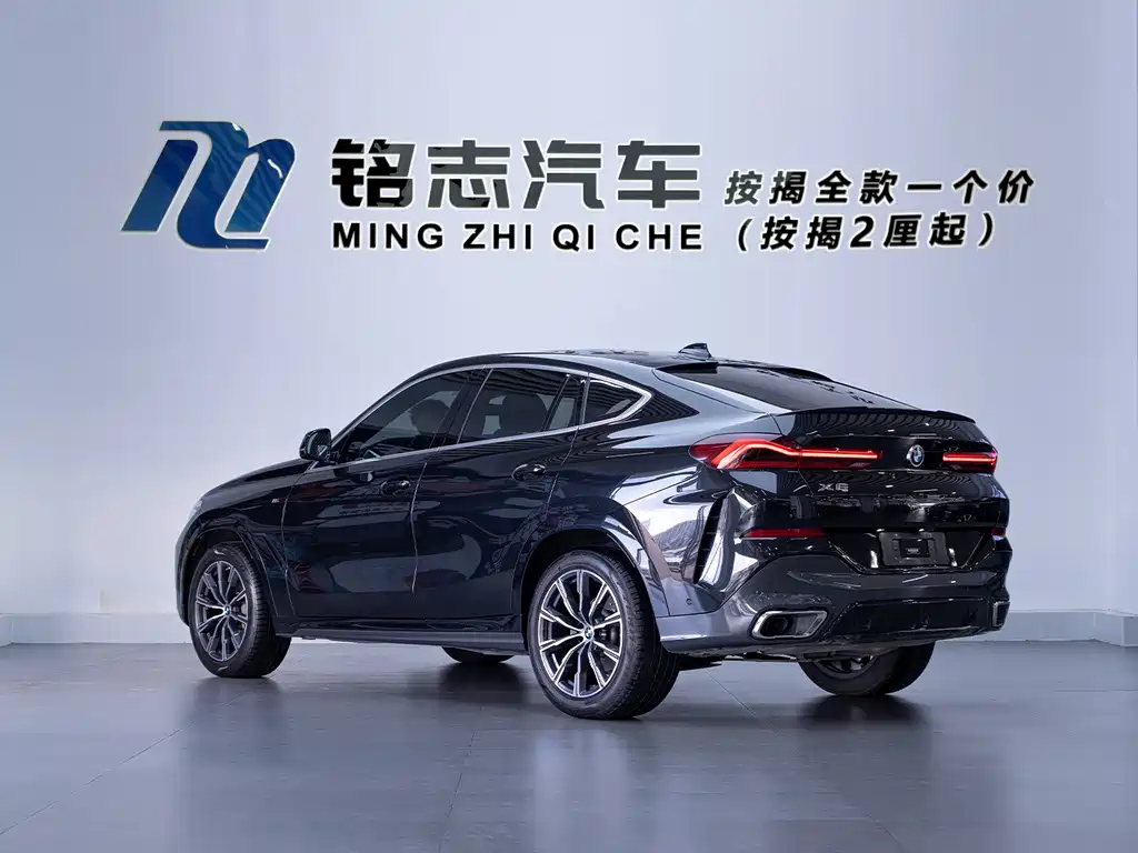 BMW X6 — миниатюра 7