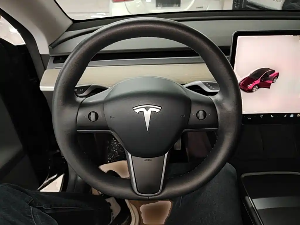 Tesla Model Y — миниатюра 11