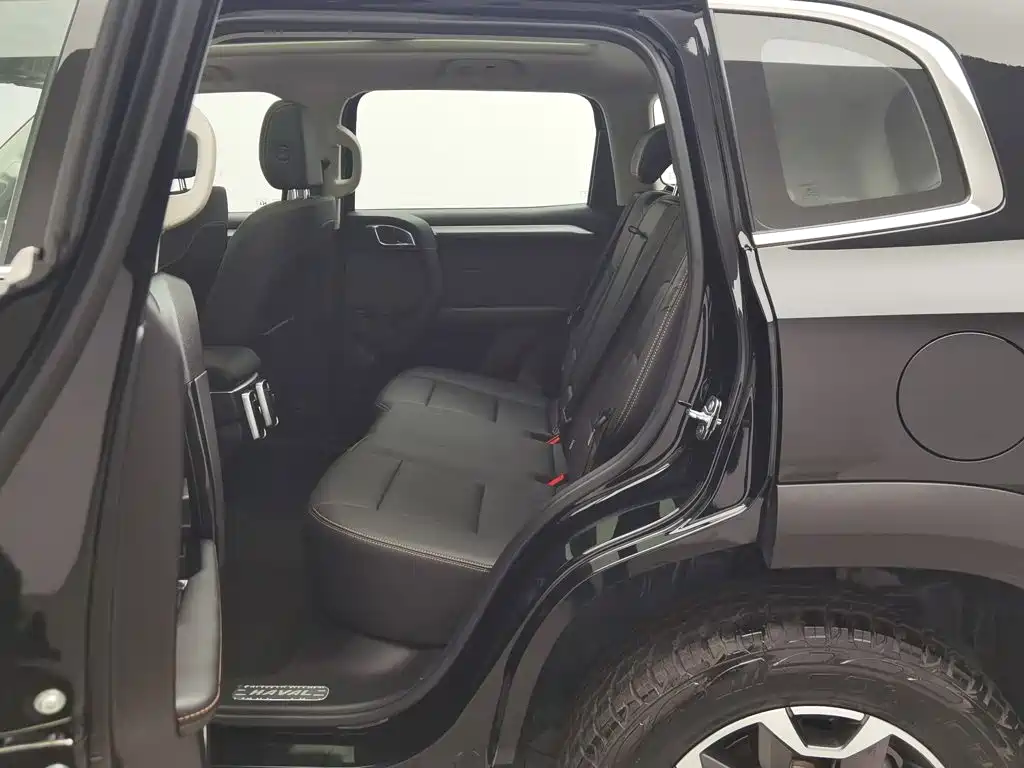 Haval Big Dog — миниатюра 15