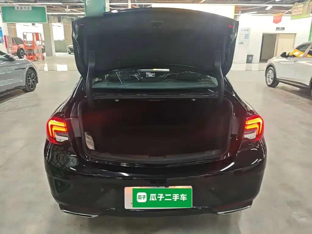 Buick Regal — миниатюра 19