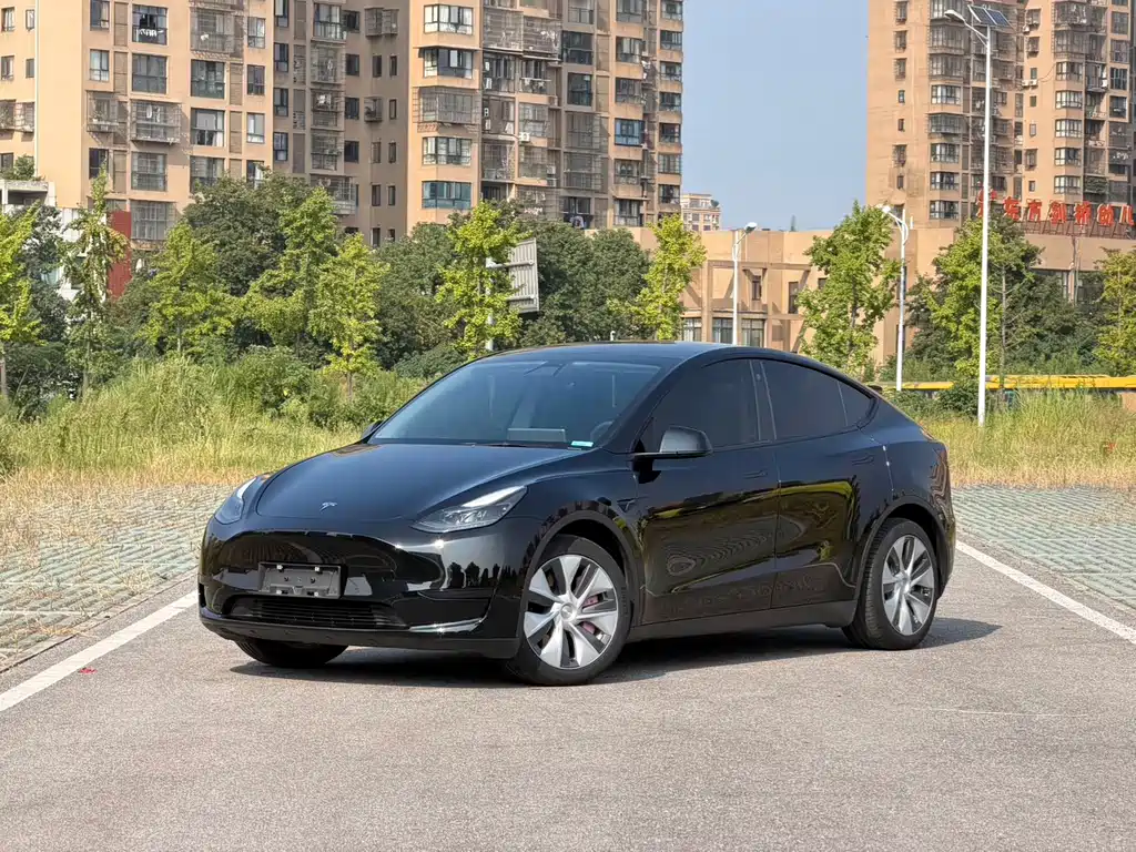Tesla Model Y — миниатюра 2