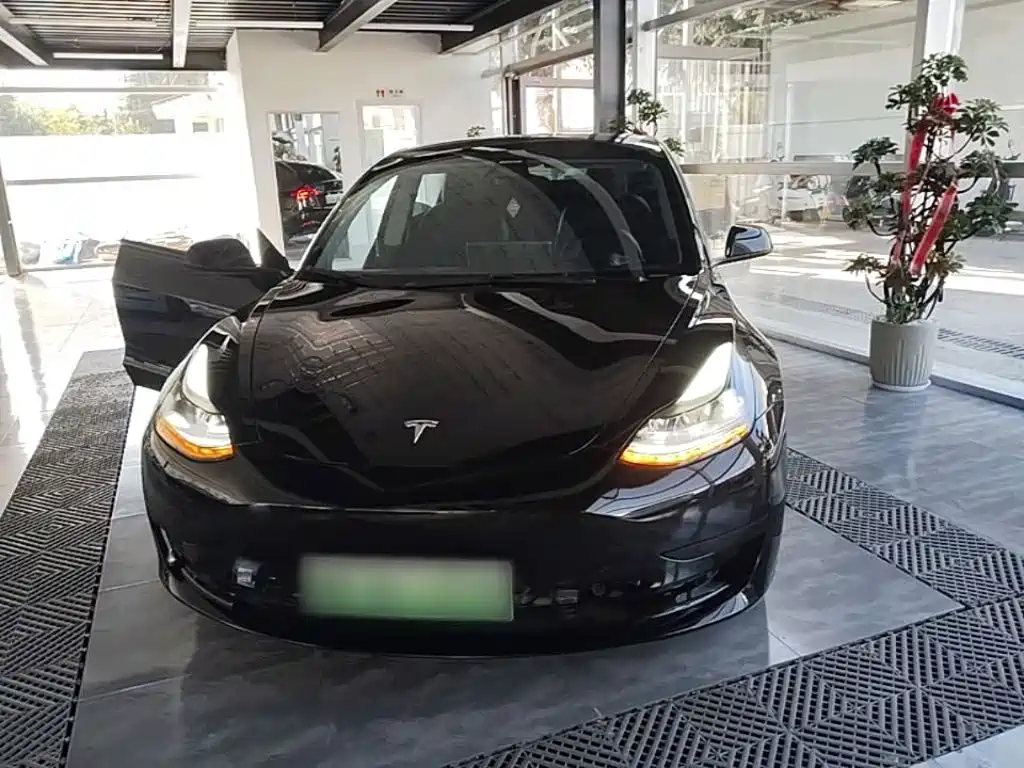Tesla Model 3 — миниатюра 3
