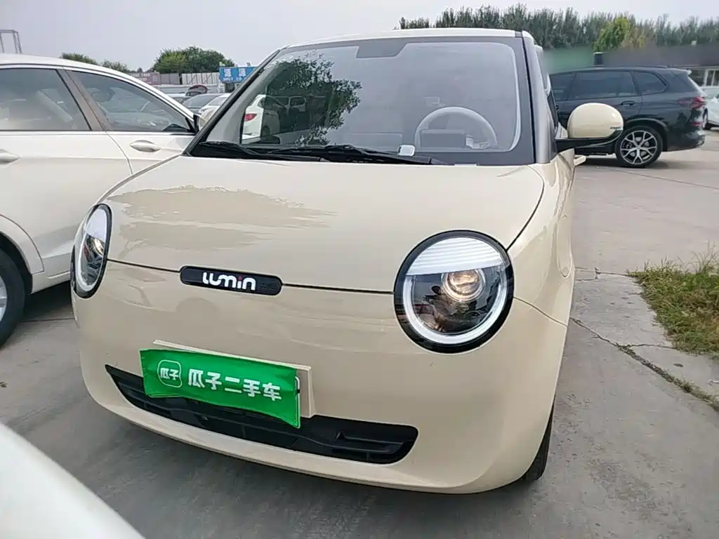 Qiyuan Lumin — миниатюра 3