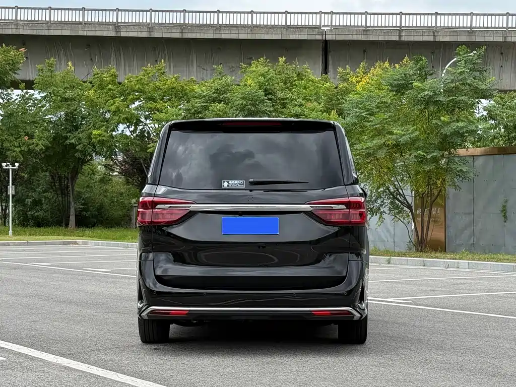 MAXUS G20 — миниатюра 5