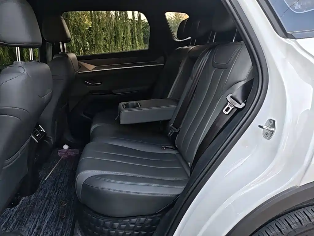 BYD Pro New Energy — миниатюра 17