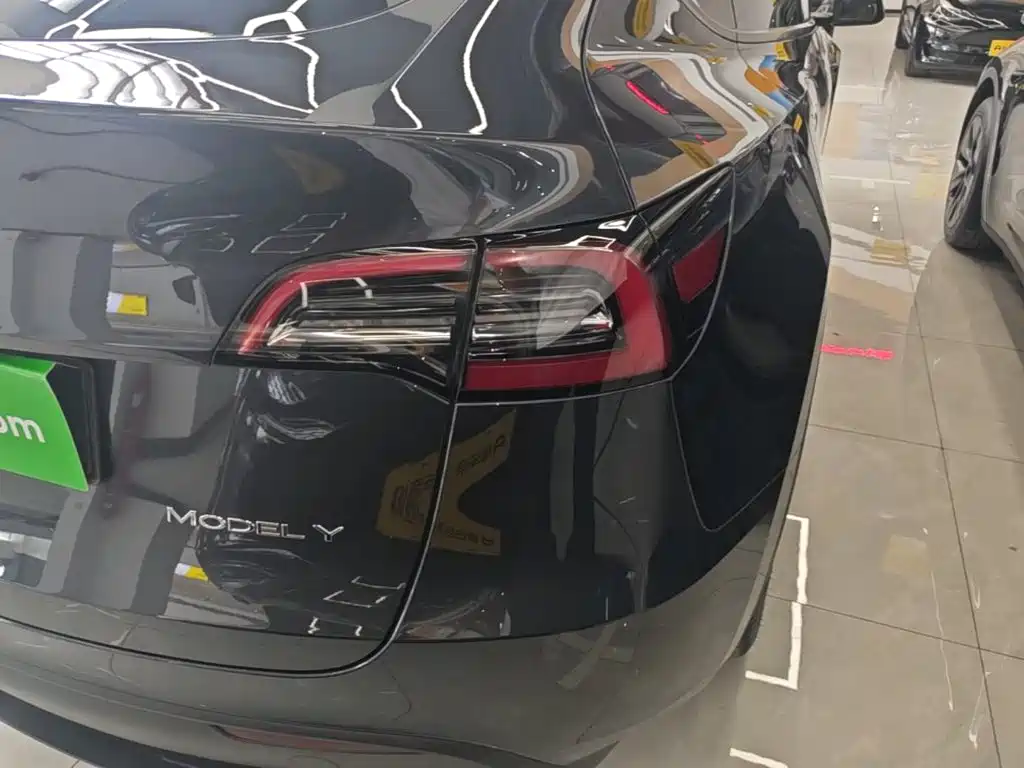 Tesla Model Y — миниатюра 8