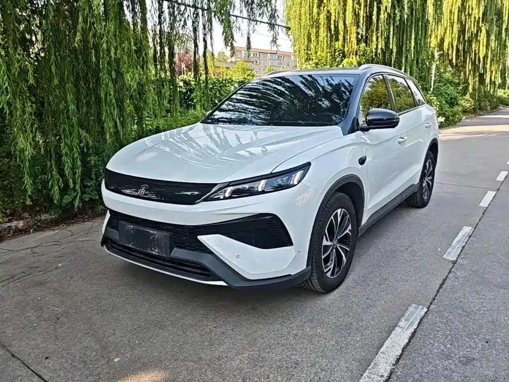 BYD Pro New Energy