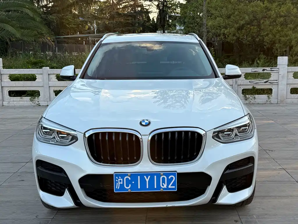 BMW X3 — миниатюра 2
