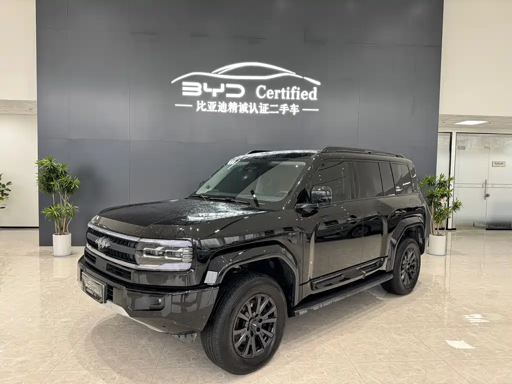 FANG CHENG BAO LEOPARD 5