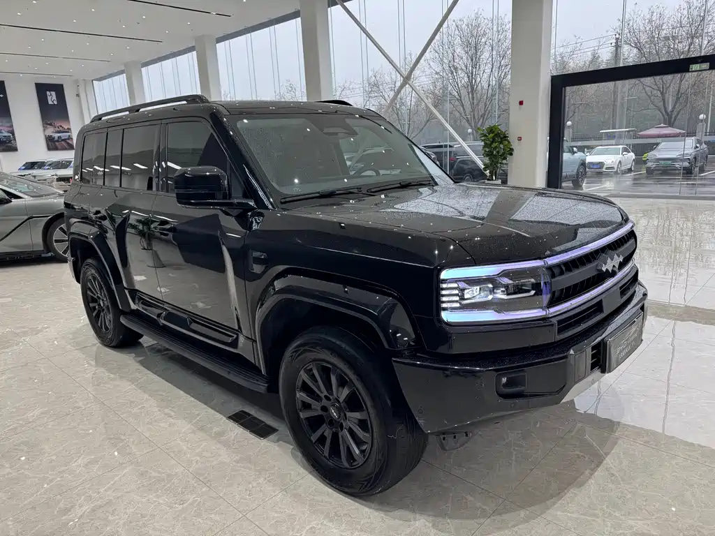 FANG CHENG BAO LEOPARD 5