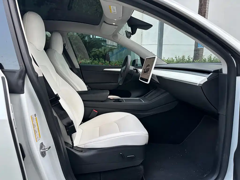 Tesla Model Y — миниатюра 13