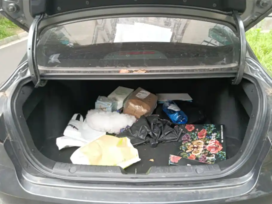 Changan Eado 2024 PLUS NE 1.4T GDI DCT